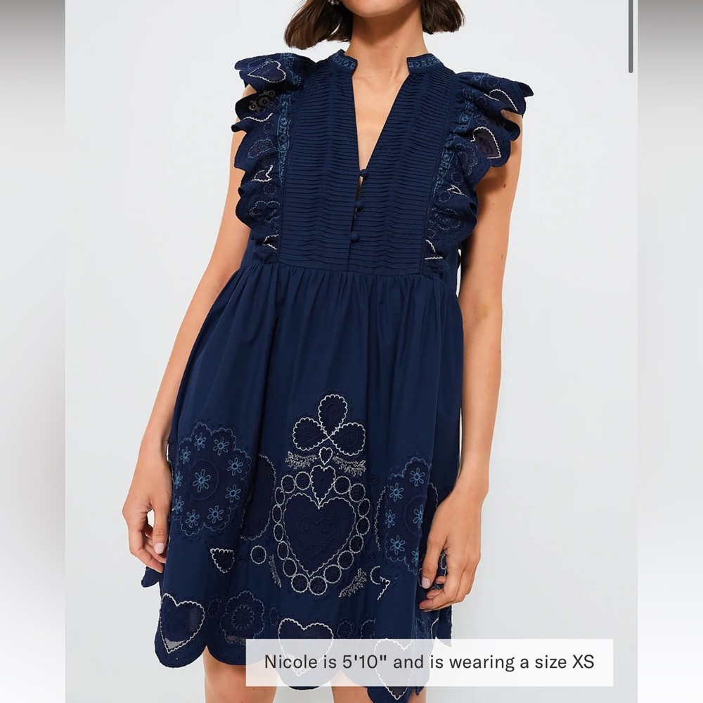 Sea New York/Tuckernuck Blue Ruffled Smocked Mini Dress